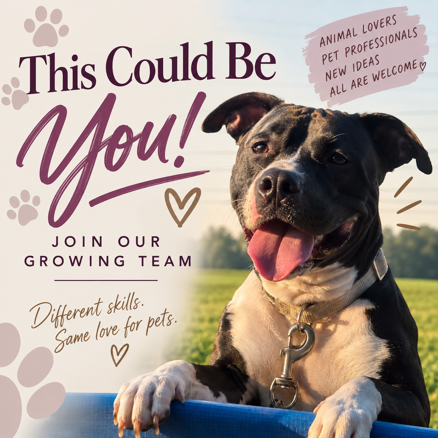 This could be you!